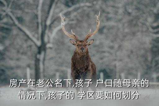 房产在老公名下,孩子 户口随母亲的情况下,孩子的 学区要如何划分