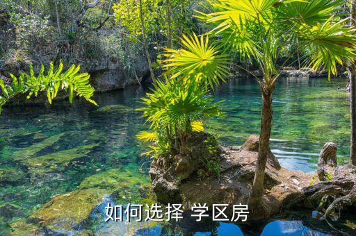 如何选择 学区房