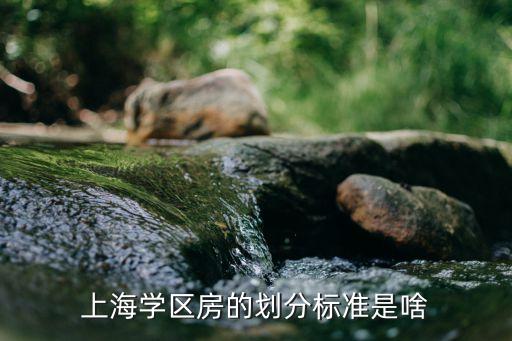 上海学区房划分什么标准，学区划分和房产规定是什么