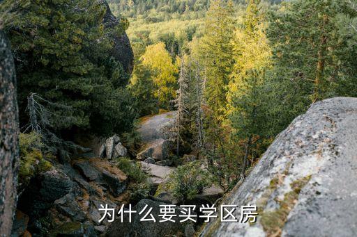 为什么要买学区房