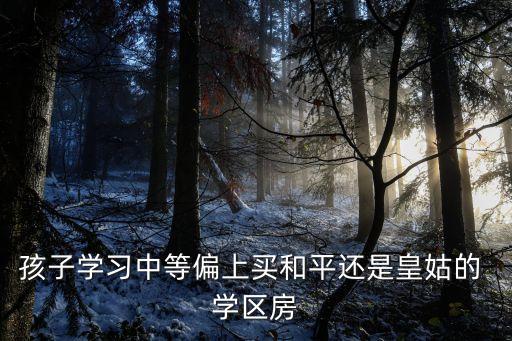 孩子学习中等偏上买和平还是皇姑的 学区房