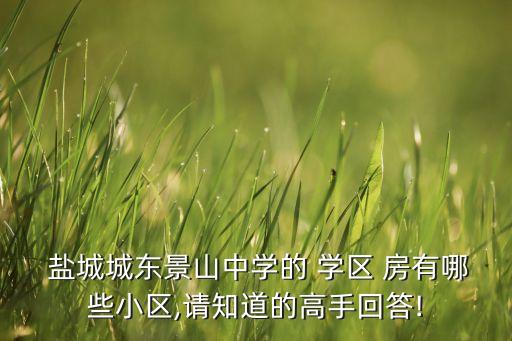  盐城城东景山中学的 学区 房有哪些小区,请知道的高手回答!