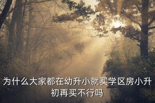 为什么大家都在幼升小就买学区房小升初再买不行吗