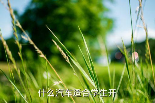 学区房适合开什么车，现在什么车适合家庭开