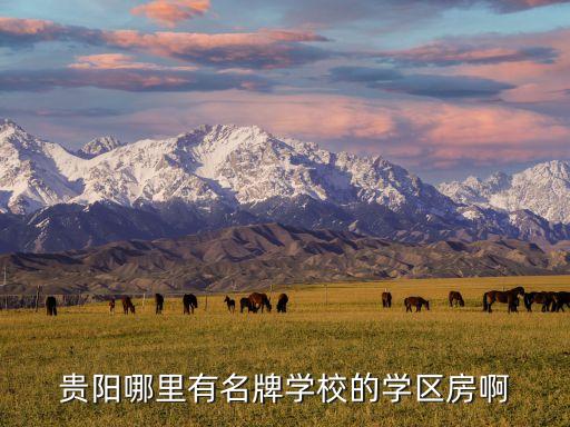 贵阳哪里有名牌学校的学区房啊