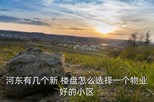 河东有几个新 楼盘怎么选择一个物业好的小区