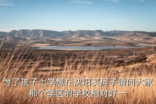 什么学校的学区房好，为了孩子上学想在沈阳买房子请问大家那个学区的学校相对好一
