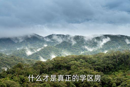什么才是真正的学区房