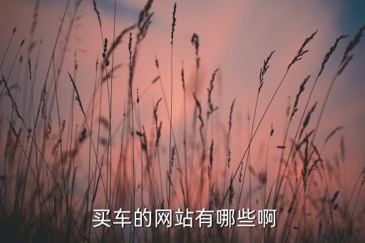  买车的网站有哪些啊