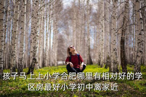 孩子马上上小学合肥哪里有相对好的学区房最好小学初中离家近
