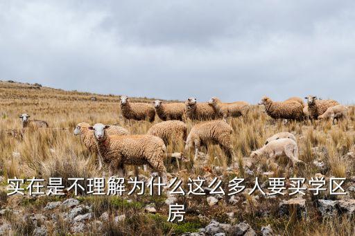 实在是不理解为什么这么多人要买学区房