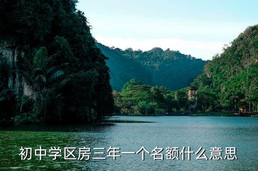初中学区房三年一个名额什么意思
