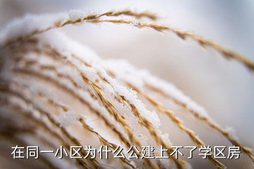 在同一小区为什么公建上不了学区房