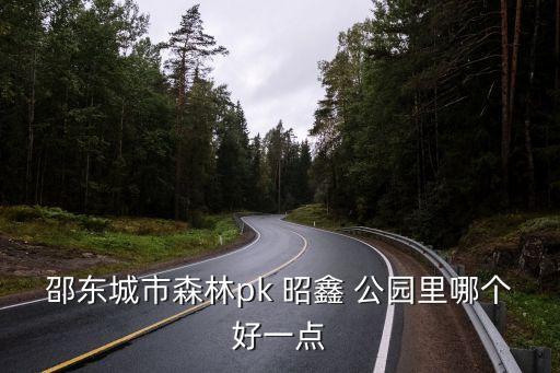 昭鑫公园里是哪个学区房