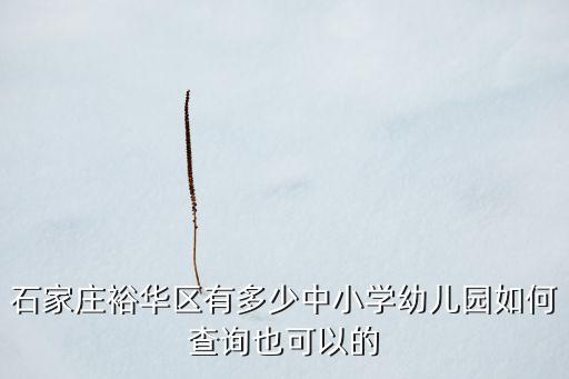 石家庄裕华区有多少中小学幼儿园如何查询也可以的