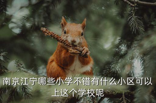 南京江宁哪些小学不错有什么小区可以上这个学校呢