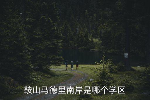 鞍山马德里南岸是哪个学区
