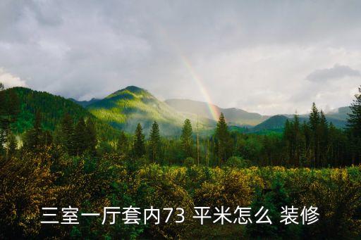 三室一厅套内73 平米怎么 装修