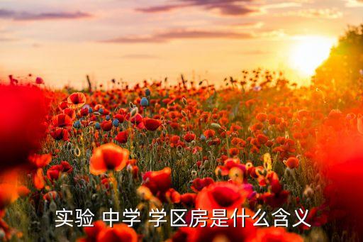  实验 中学 学区房是什么含义