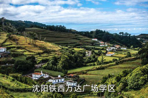 铁西广场有什么学区房，铁西万达楼2010年初中学区应该在哪里