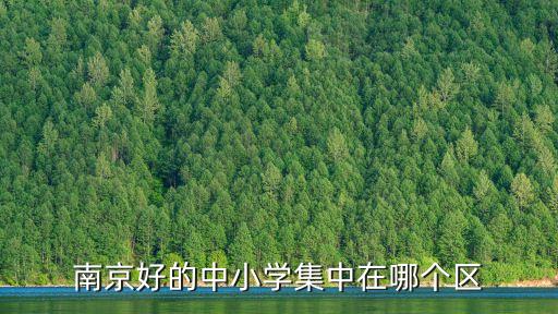 南京好的中小学集中在哪个区