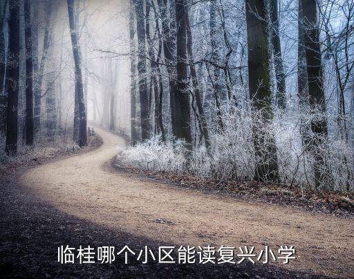 临桂哪个小区能读复兴小学