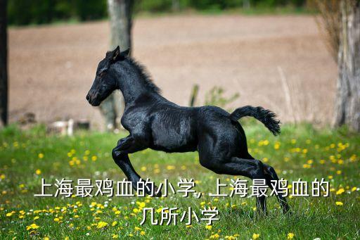  上海最鸡血的小学, 上海最鸡血的几所小学