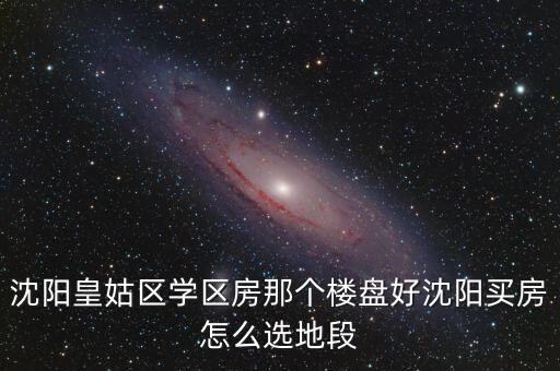 沈阳皇姑区学区房那个楼盘好沈阳买房怎么选地段