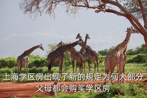 上海学区房出现了新的规定为何大部分父母都会购买学区房