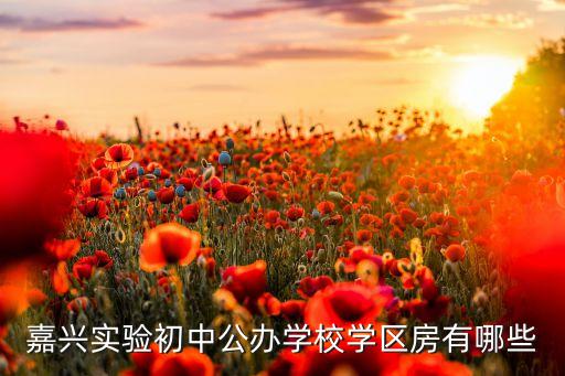 什么学校有学区房，想买学区房哪些地方有大学城啊