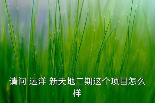 请问 远洋 新天地二期这个项目怎么样