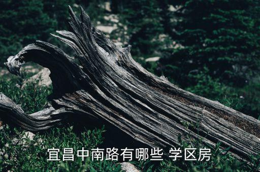 宜昌中南路有哪些 学区房
