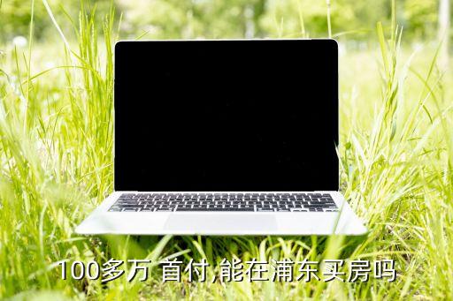 100多万 首付,能在浦东买房吗