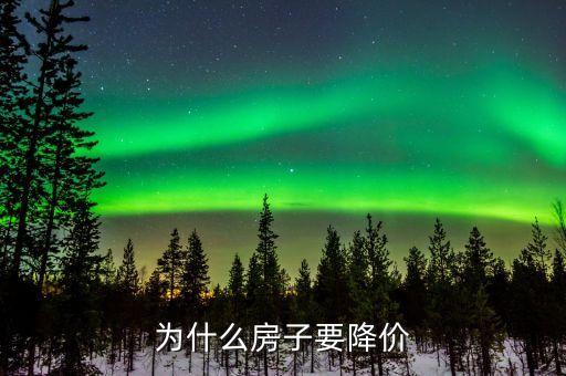 为什么房子要降价