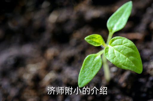  济师附小的介绍
