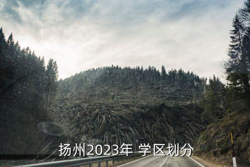 扬州的学区房哪个最好,扬州荷花池新村是哪个学区房