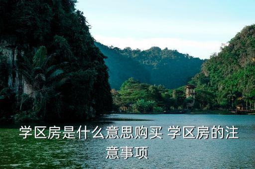  学区房是什么意思购买 学区房的注意事项