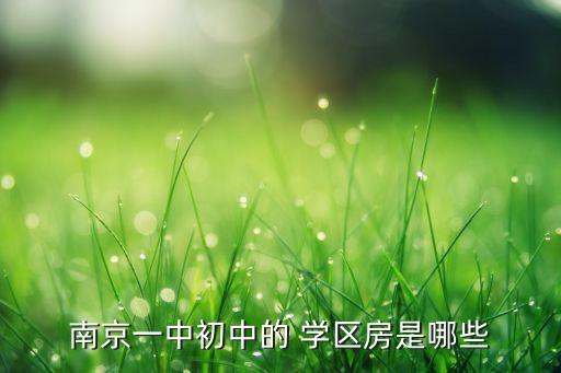 南京一中初中的 学区房是哪些