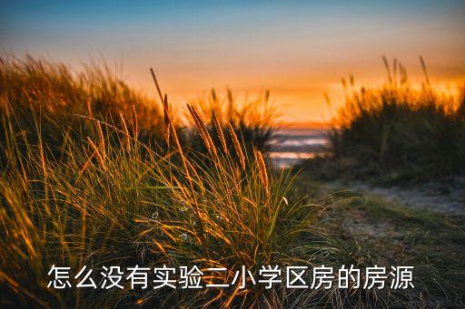 怎么没有实验二小学区房的房源