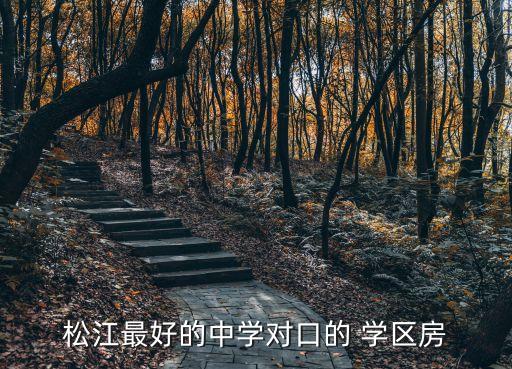 松江最好的中学对口的 学区房