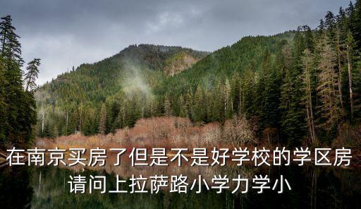 在南京买房了但是不是好学校的学区房请问上拉萨路小学力学小