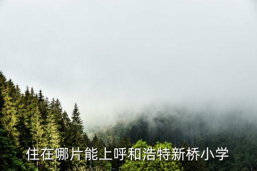 住在哪片能上呼和浩特新桥小学