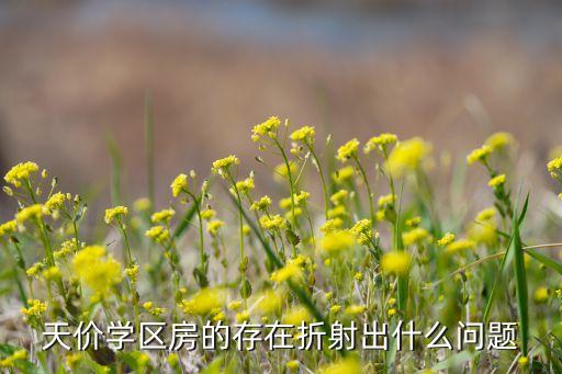 天价学区房的存在折射出什么问题