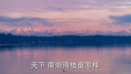 天下 南湖湾楼盘怎样