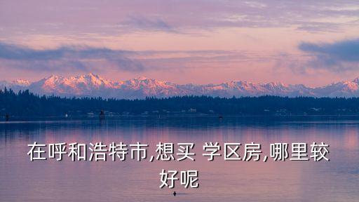 在呼和浩特市,想买 学区房,哪里较好呢