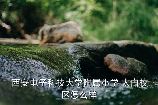  西安电子科技大学附属小学 太白校区怎么样