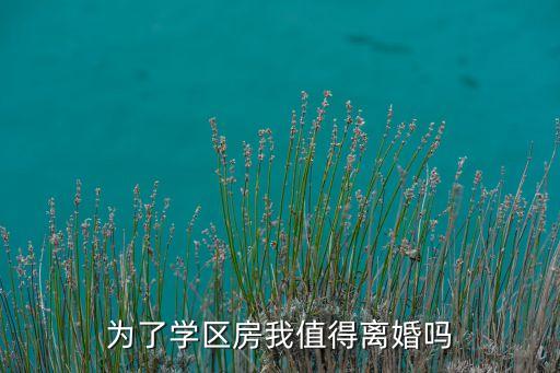 在秀山为什么要买学区房，为了学区房我值得离婚吗