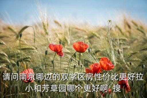 请问南京哪边的双学区房性价比更好拉小和芳草园哪个更好啊  搜