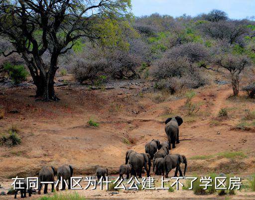 在同一小区为什么公建上不了学区房