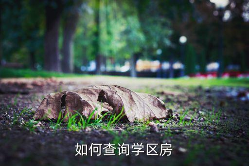 学区房什么时候能查到，如何查询学区房